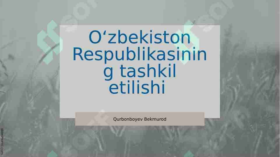 Oʻzbekiston Respublikasining tashkil etilishi