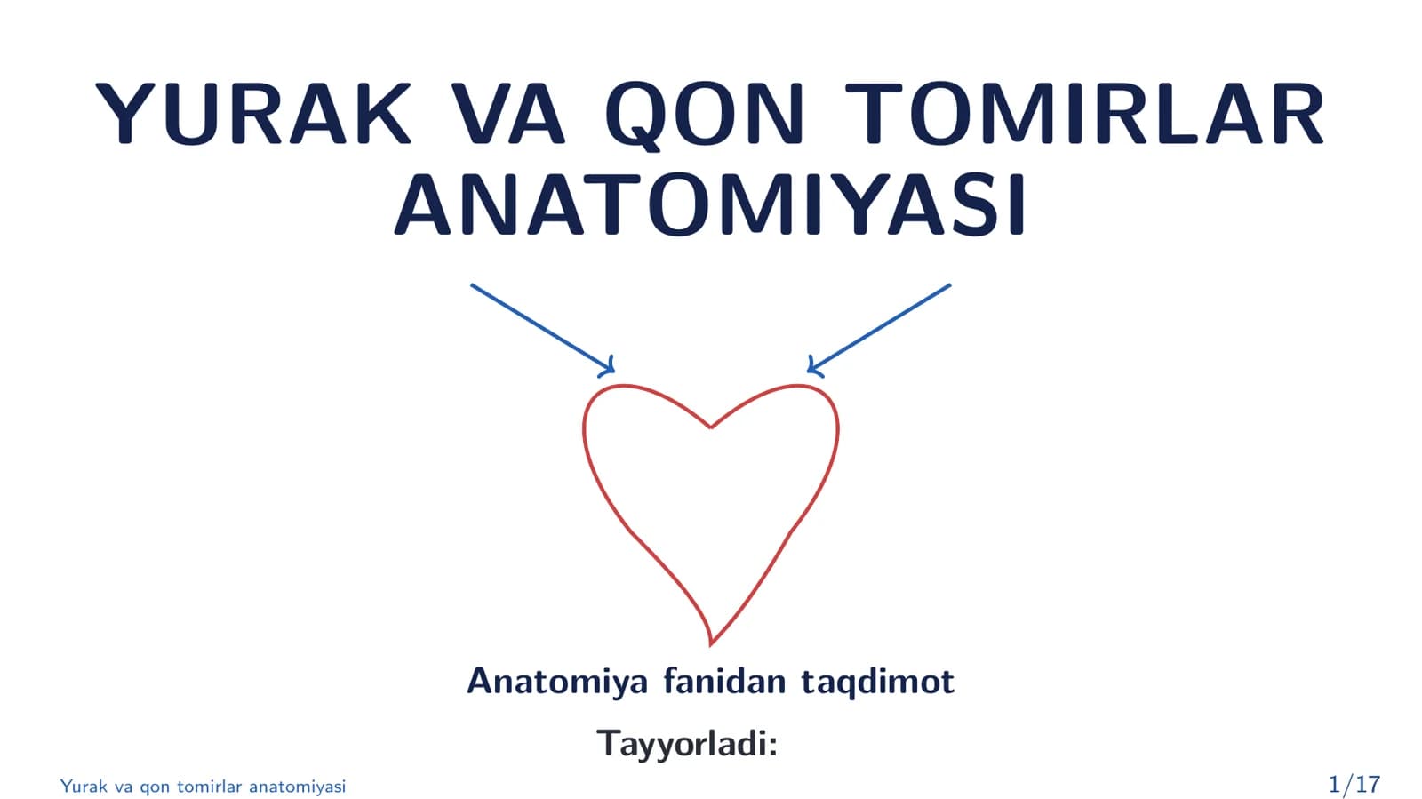 Yurak va qon tomirlar anatomiyasi