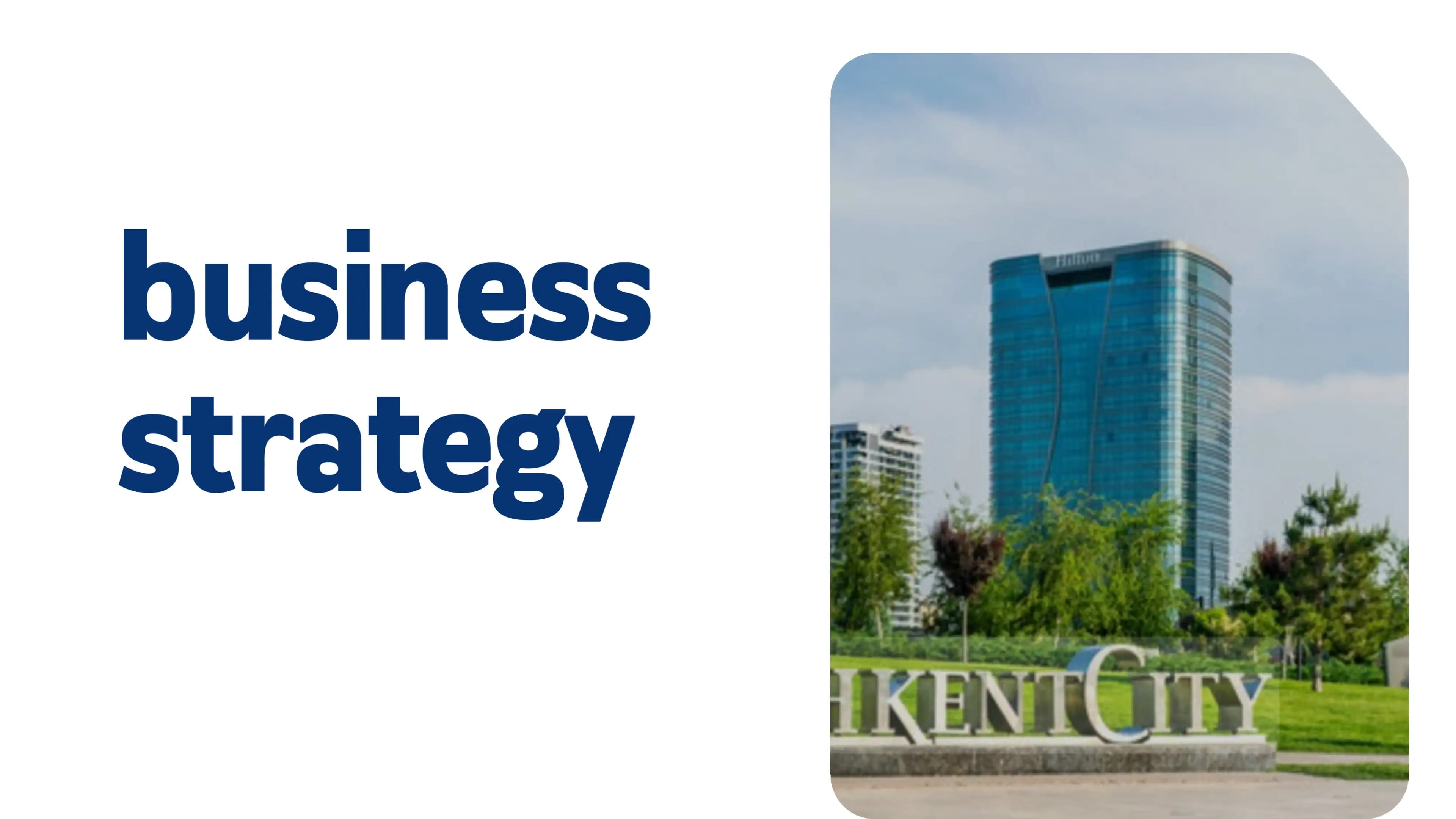 Business Strategy