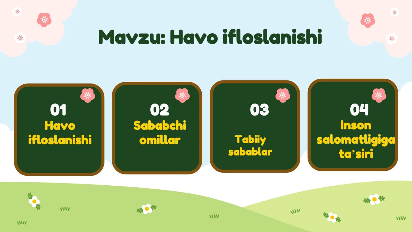 Mavzu: Havoifloslanishi
