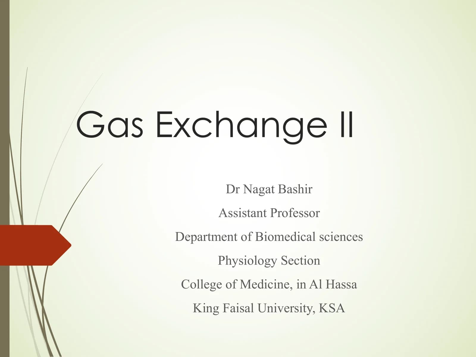 Gas Exchange II