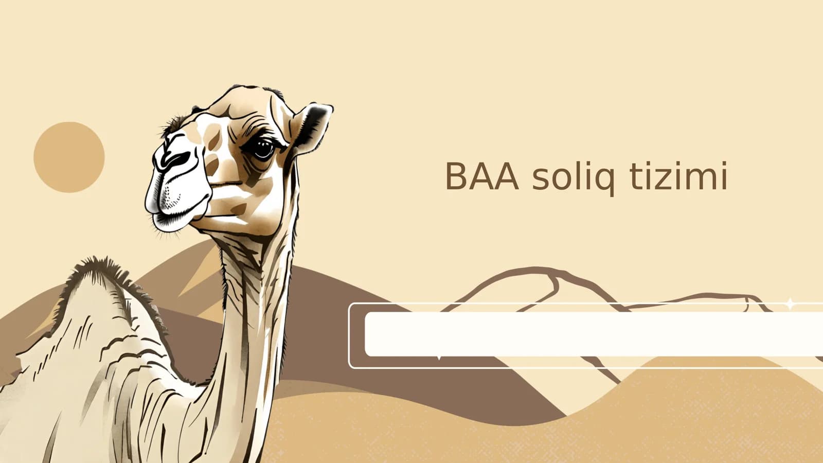 BAA soliq tizimi
