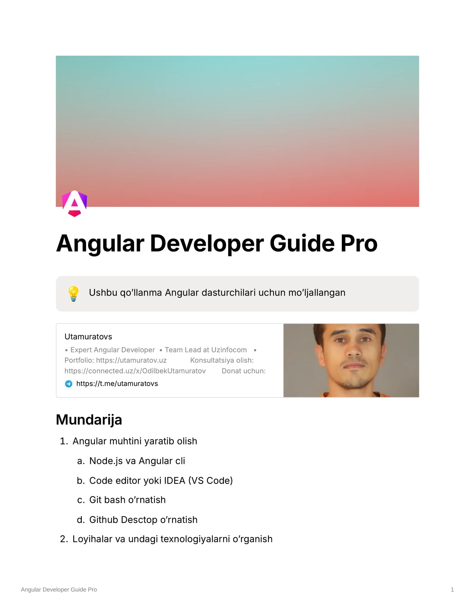 Angular Developer Guide Pro v1