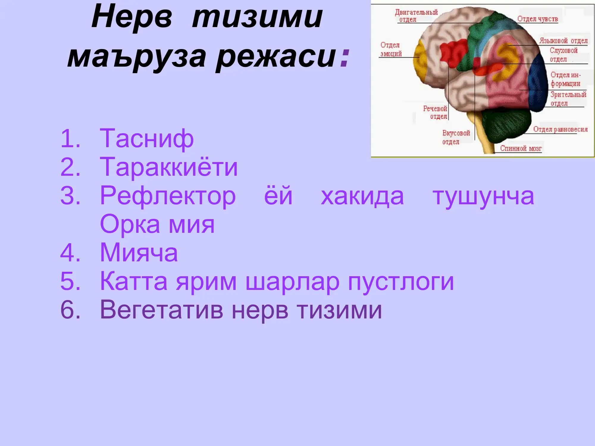 Нерв тизими