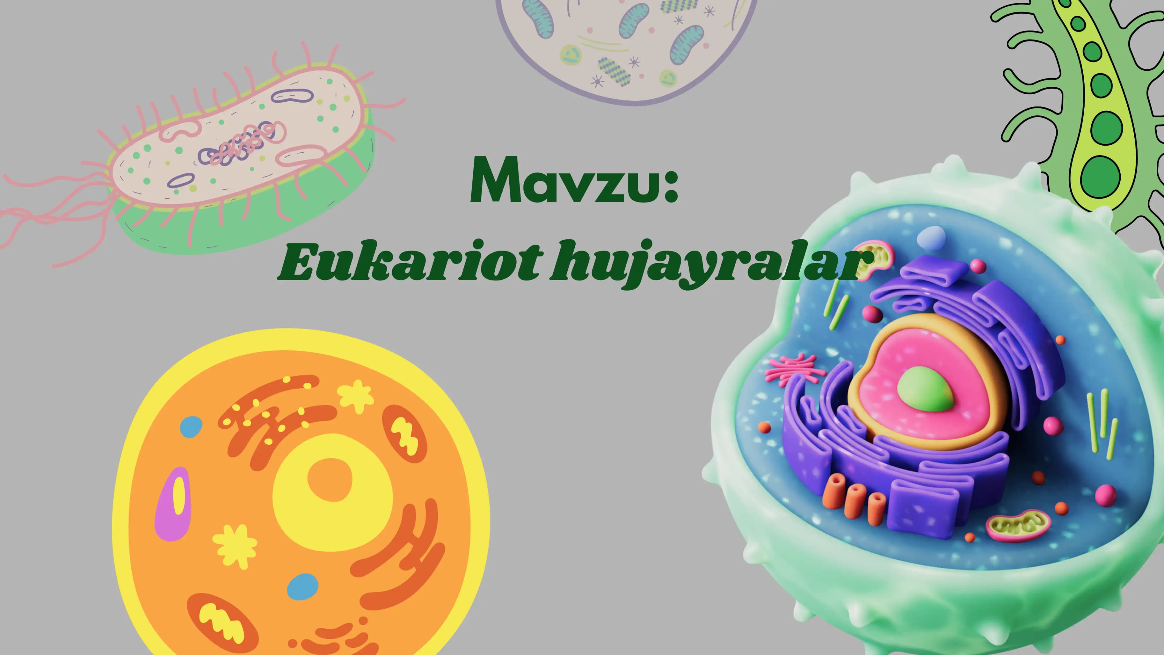 eukariot hujayralar