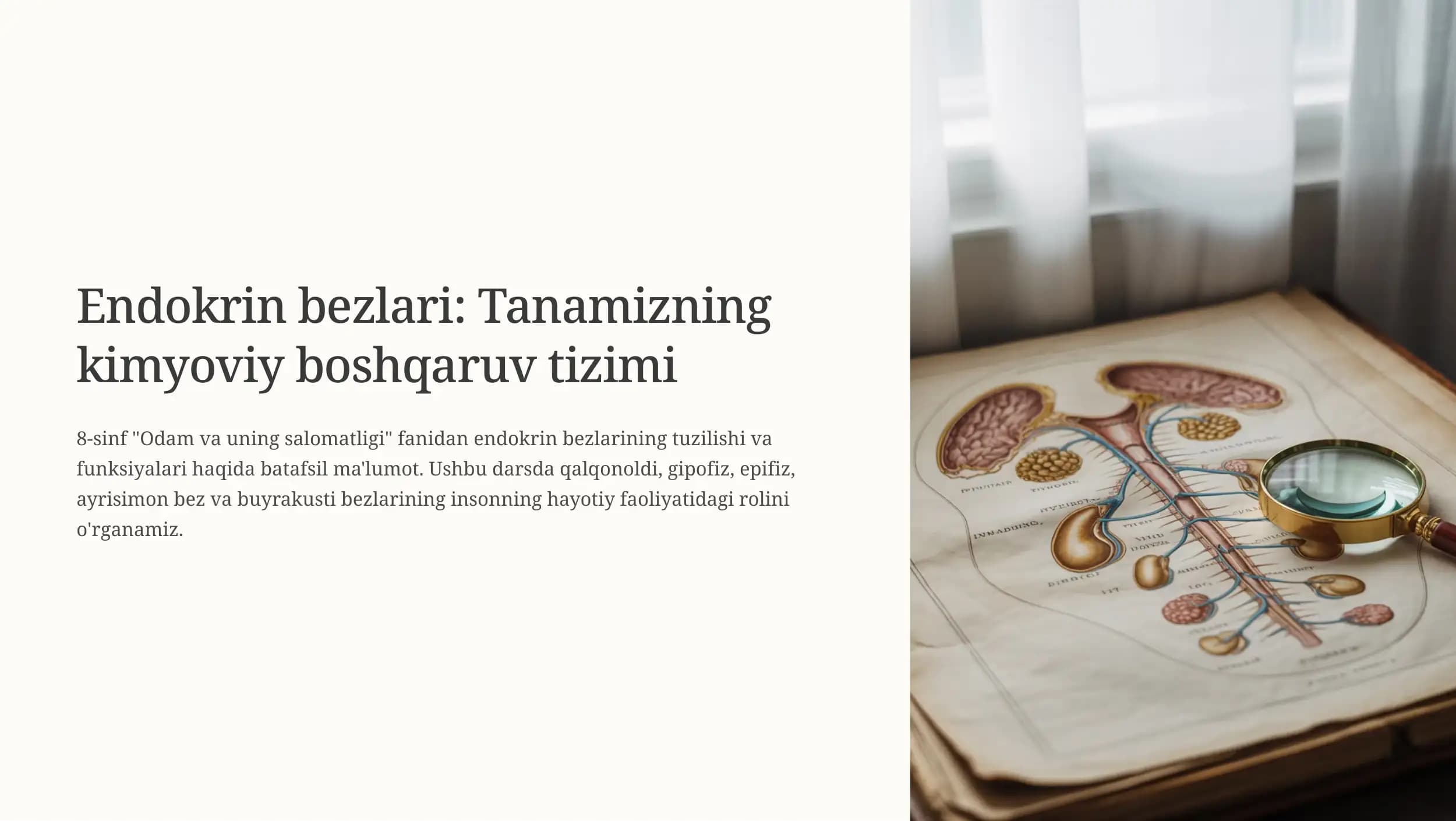 Endokrin bezlari: Tanamizning kimyoviy boshqaruv tizimi