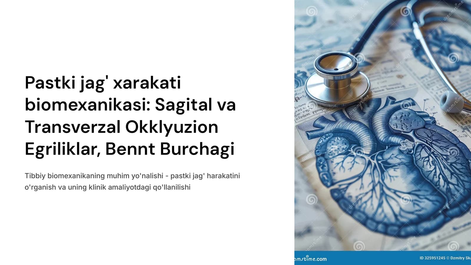 Pastki jag‘ xarakati biomexanikasi.Sagital okklyuzion egrilik(Shpee egriligi).Transverzal okklyuzion egrilik.Transverzal bo‘g‘im yo‘li burchagi(Bennt burchagi)