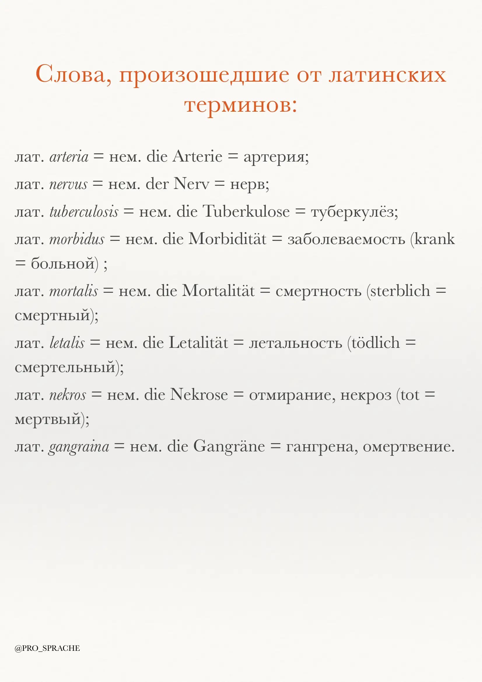 So'zlar nemis rus tili