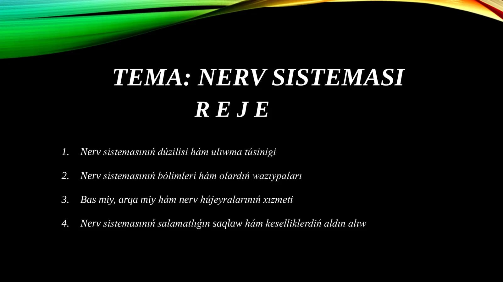 Nerv sisteması