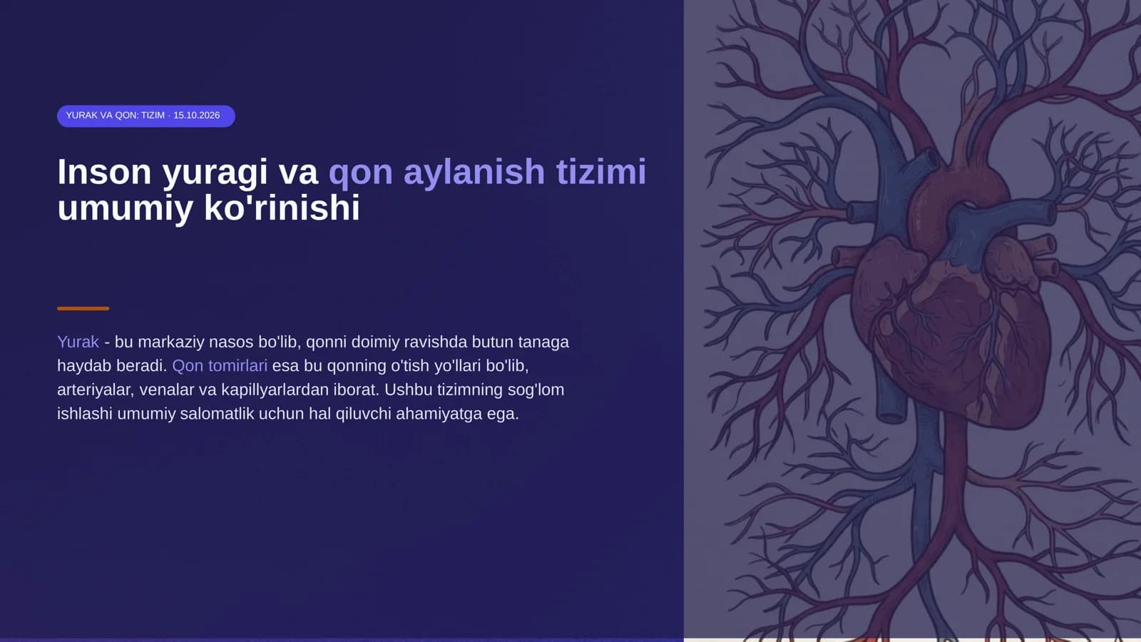 Inson yuragi va qon aylanish tizimi