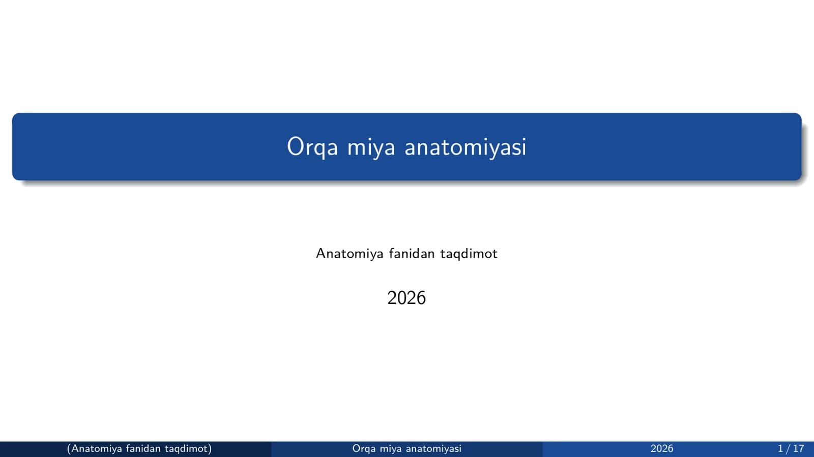 Orqa miya anatomiyasi
