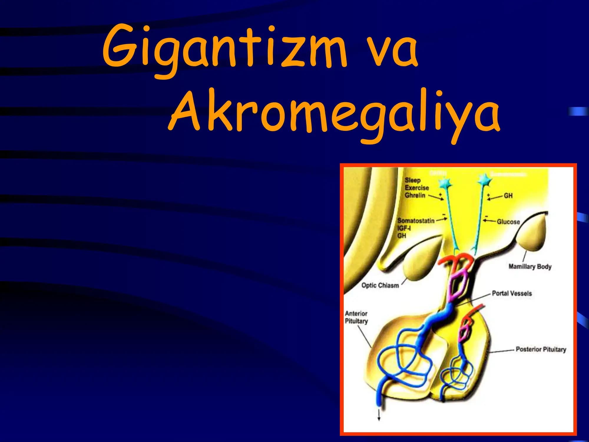 Gigantizm va Akromegaliya