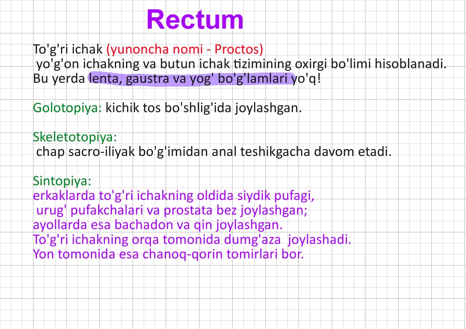 rektum, togri ichak