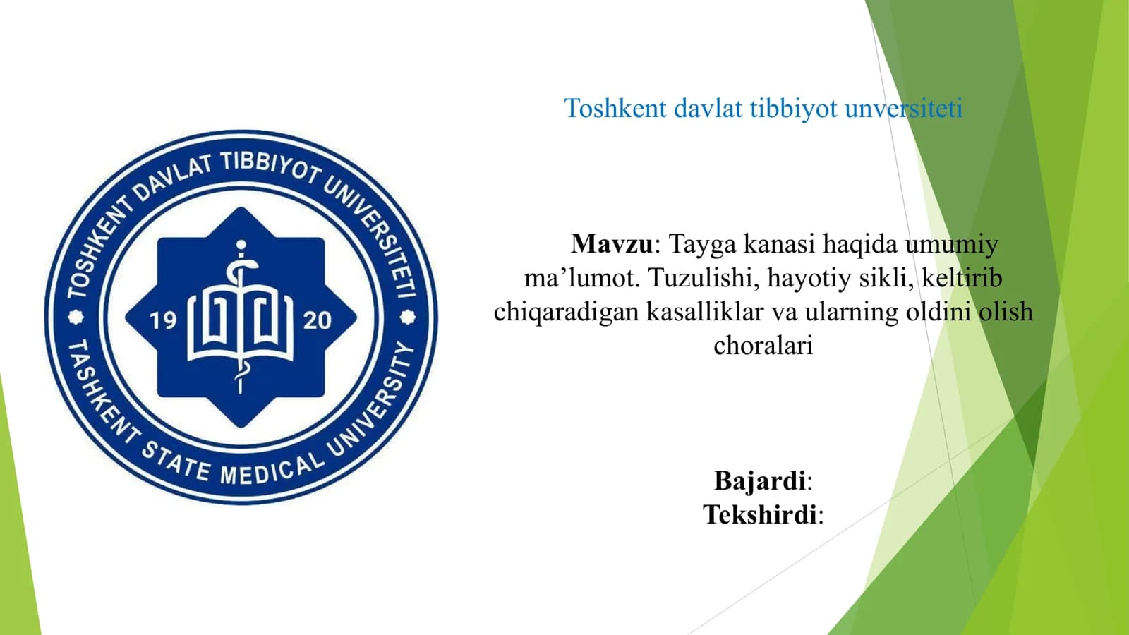 Tayga kanasi