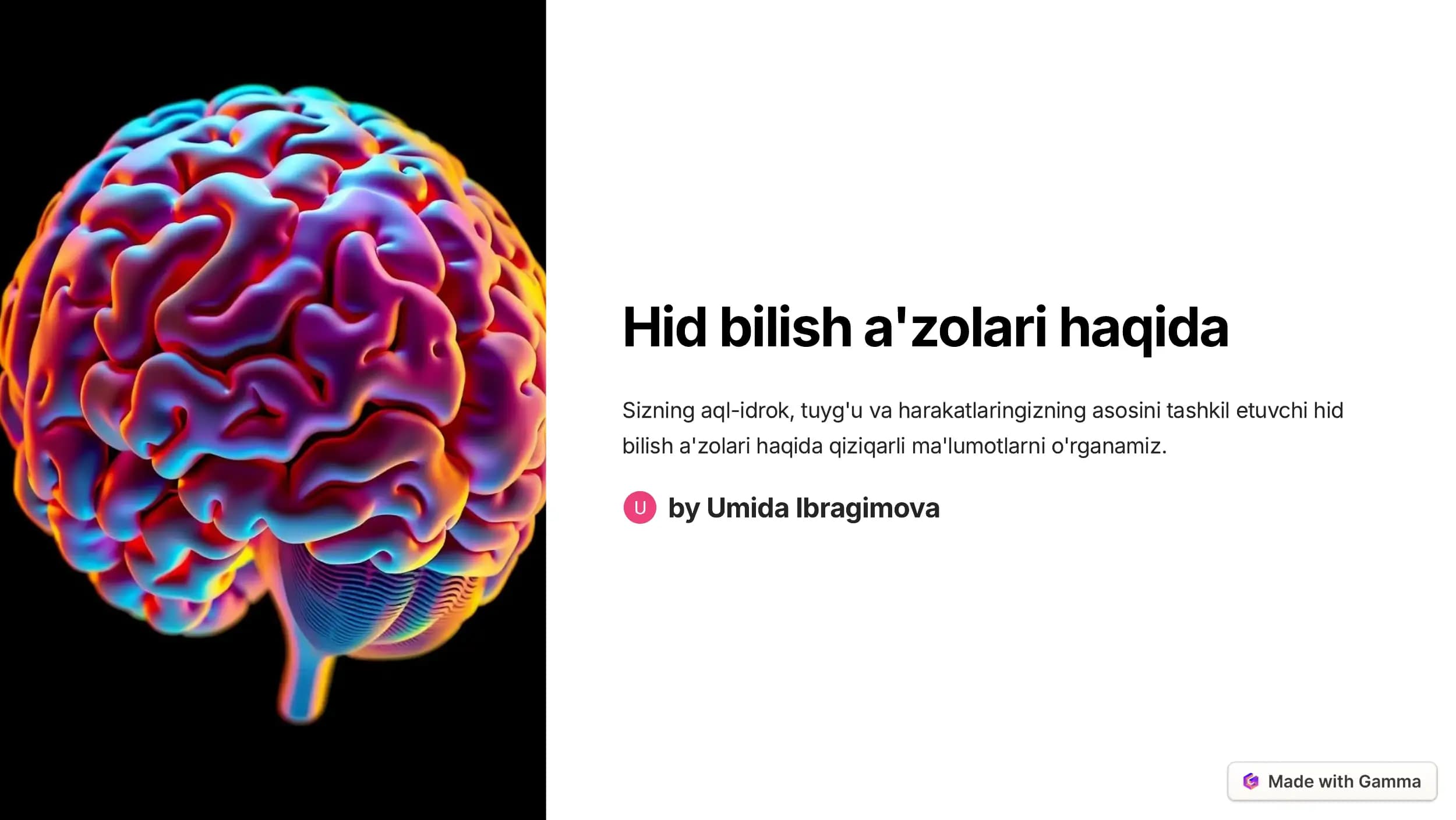 Hid bilish a'zolari haqida