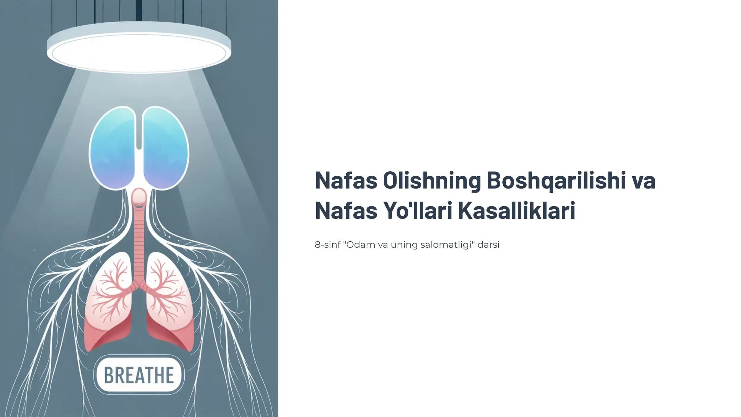 Nafas Olishning Boshqarilishi va Nafas Yo'llari Kasalliklari