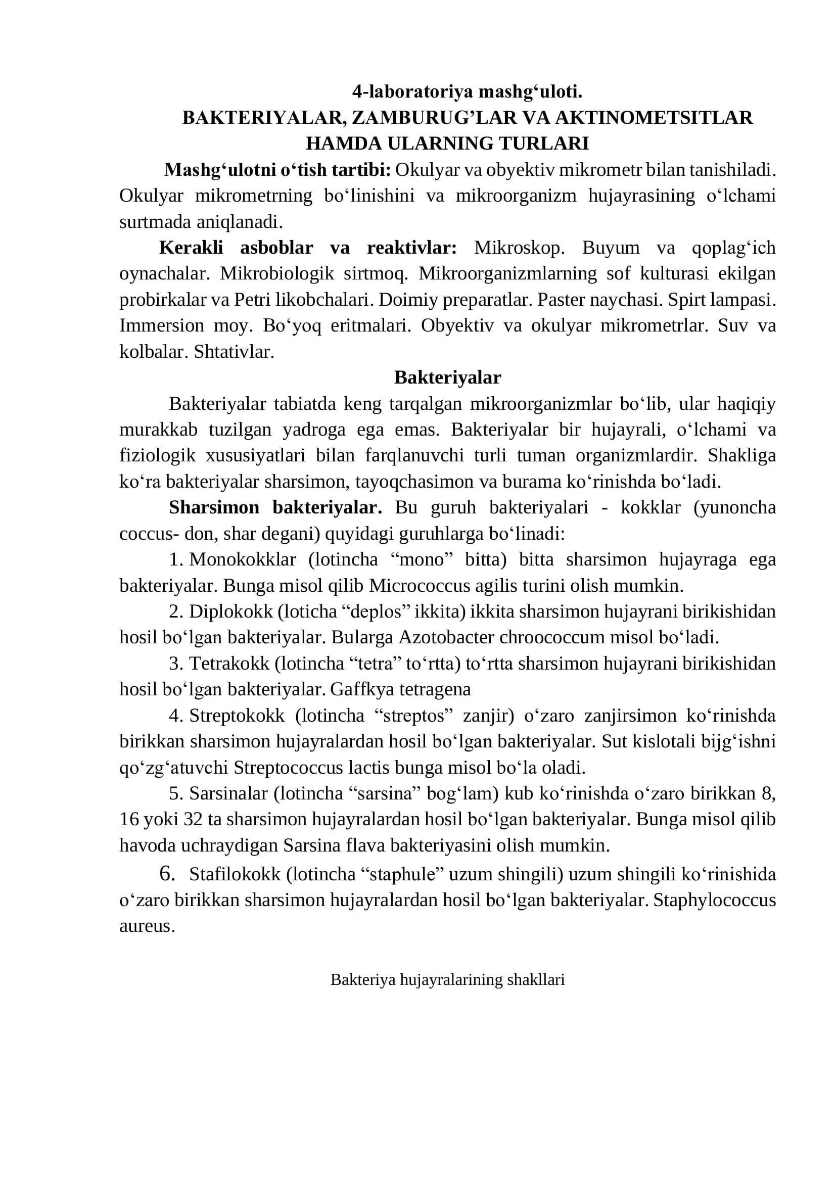 BAKTERIYALAR, ZAMBURUG’LAR VA AKTINOMETSITLAR