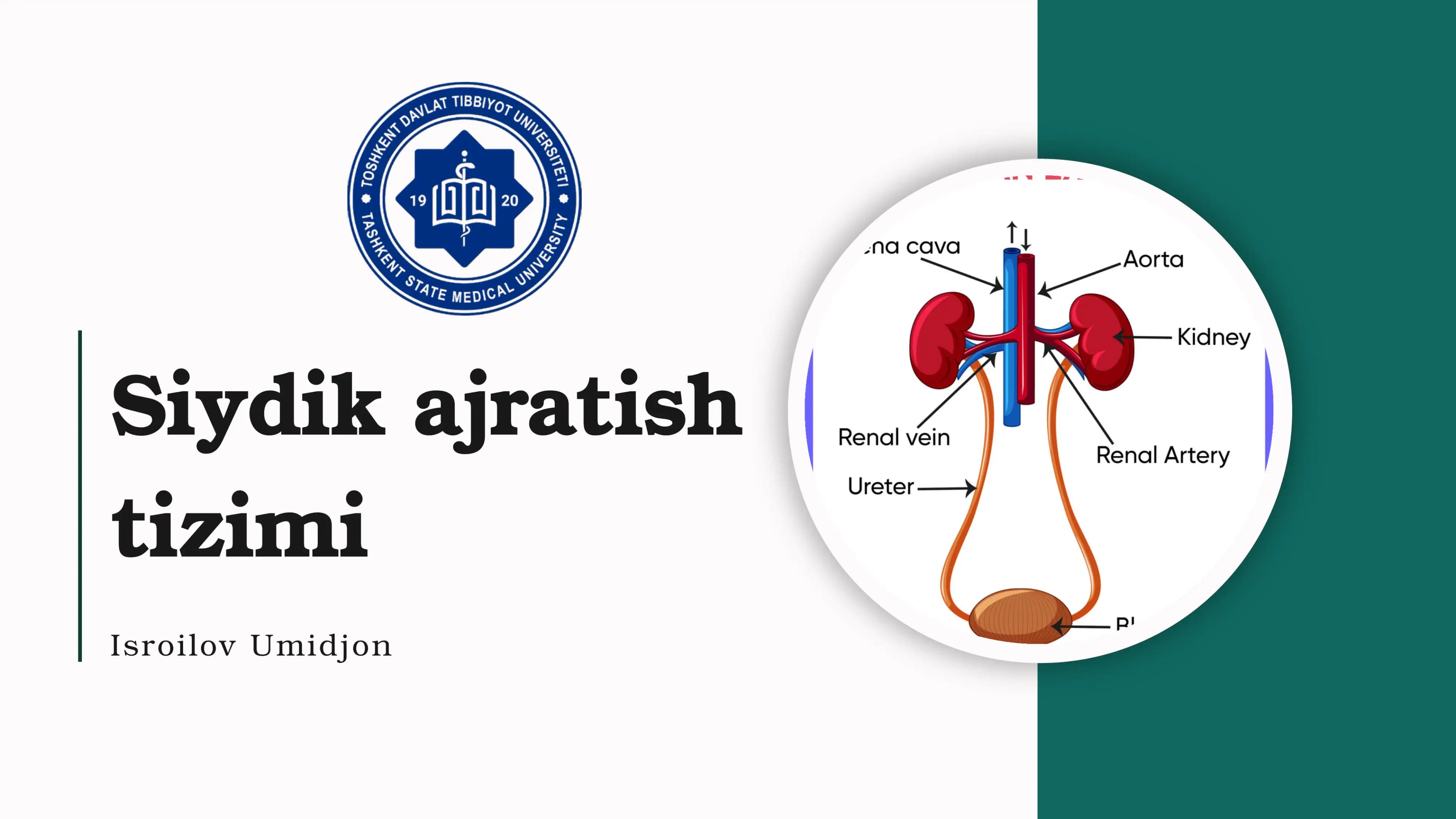 Siydik ajratish tizimi