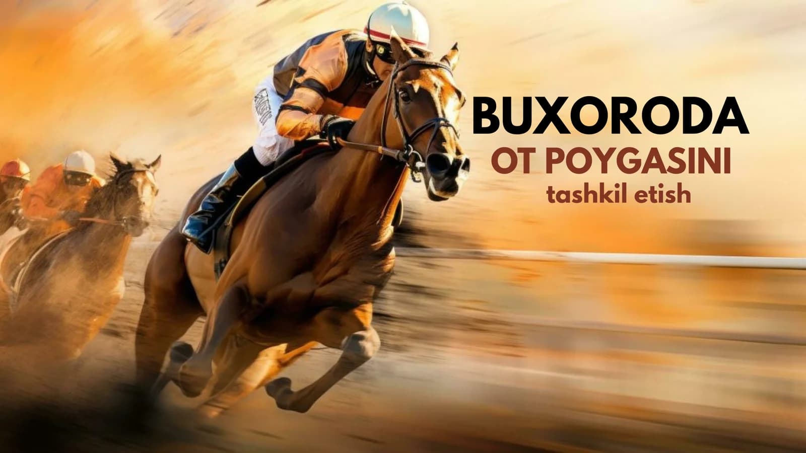 Buxoroda ot poygasini tashkil etish