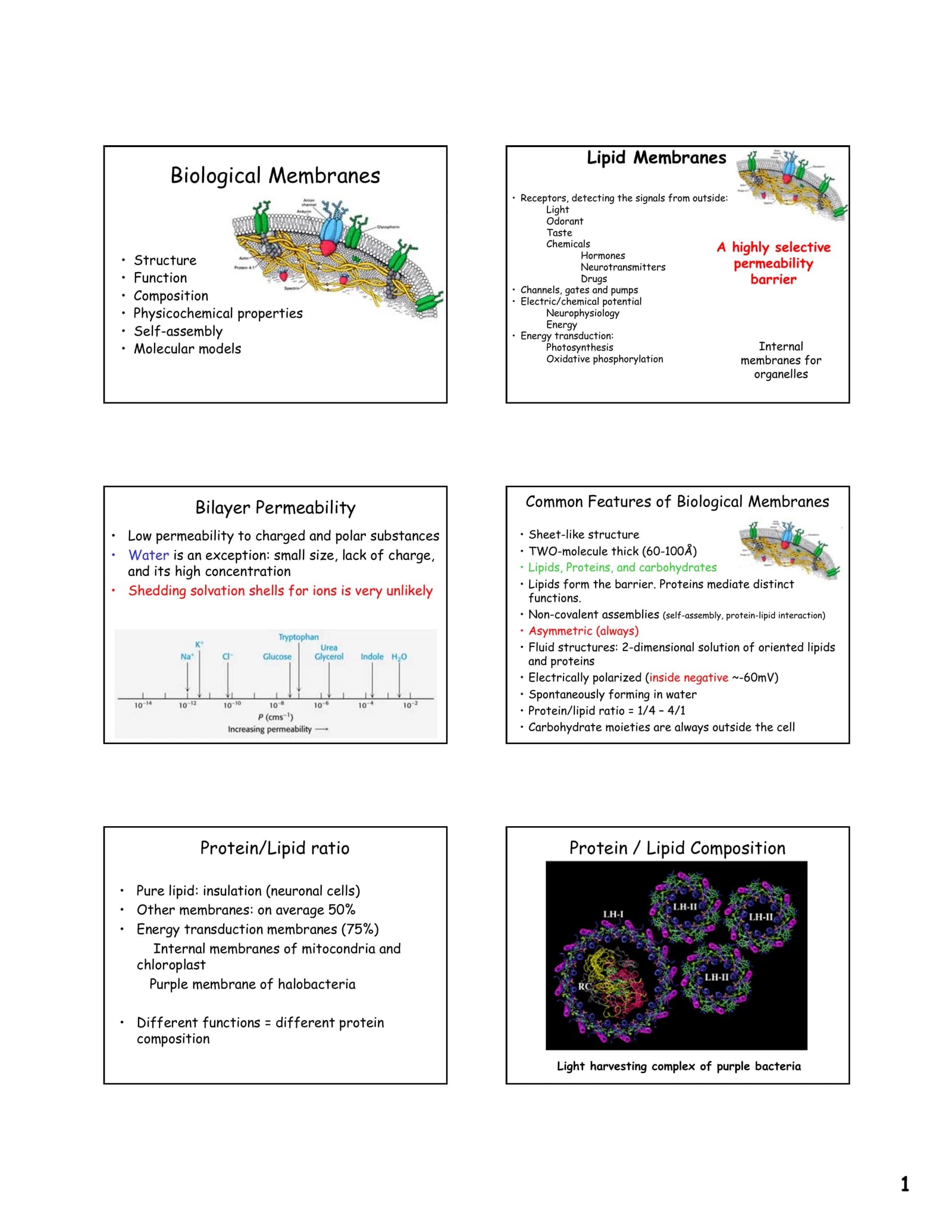 Biological Membranes
