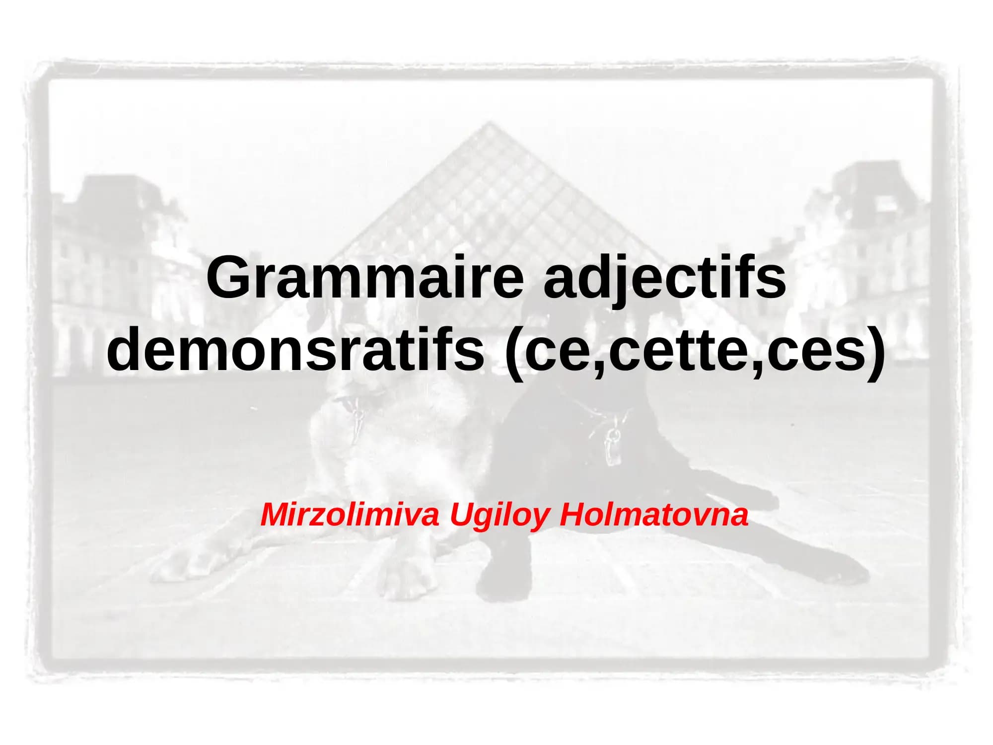 Grammaire adjectifs demonsratifs (ce,cette,ces)