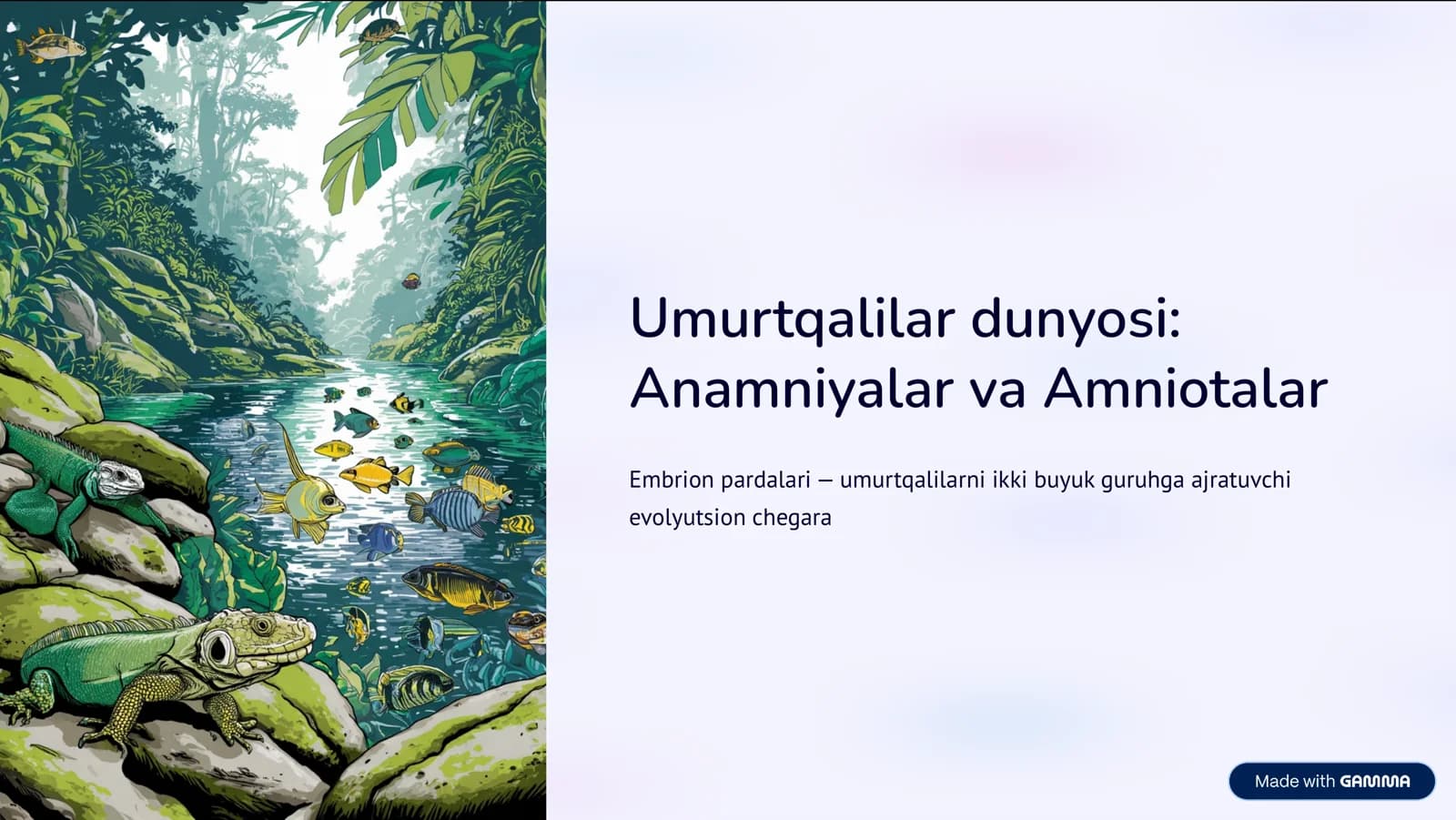 Umurtqalilar dunyosi: Anamniyalar va Amniotalar