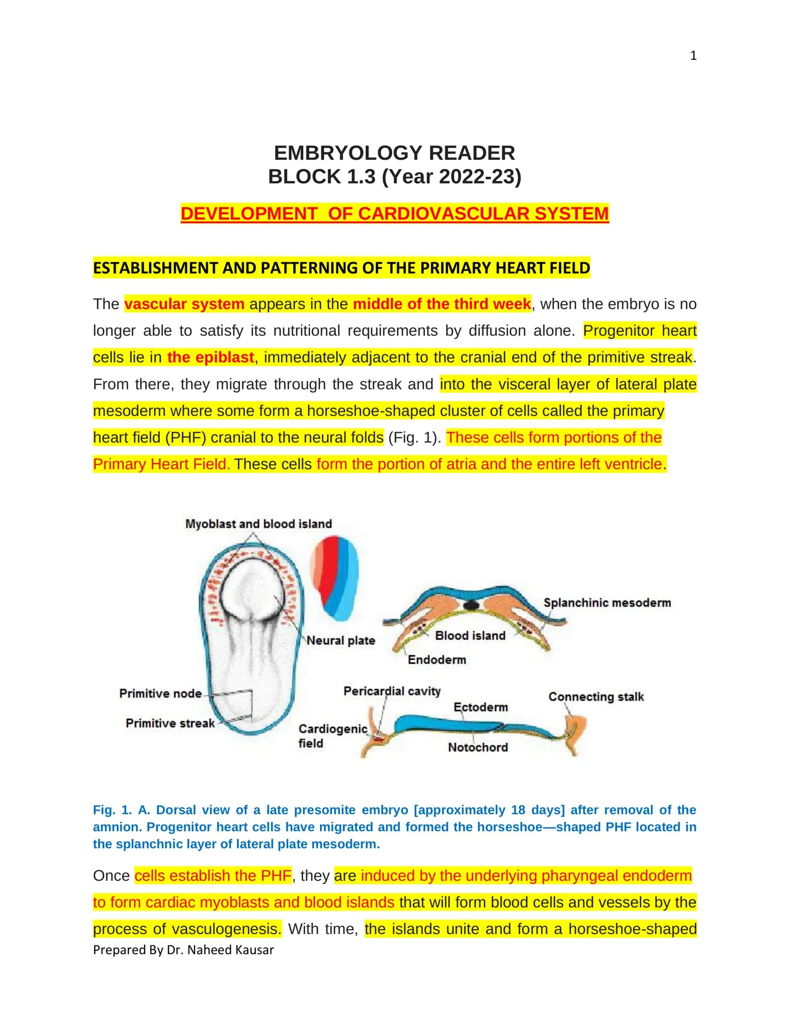 EMBRYOLOGY READER