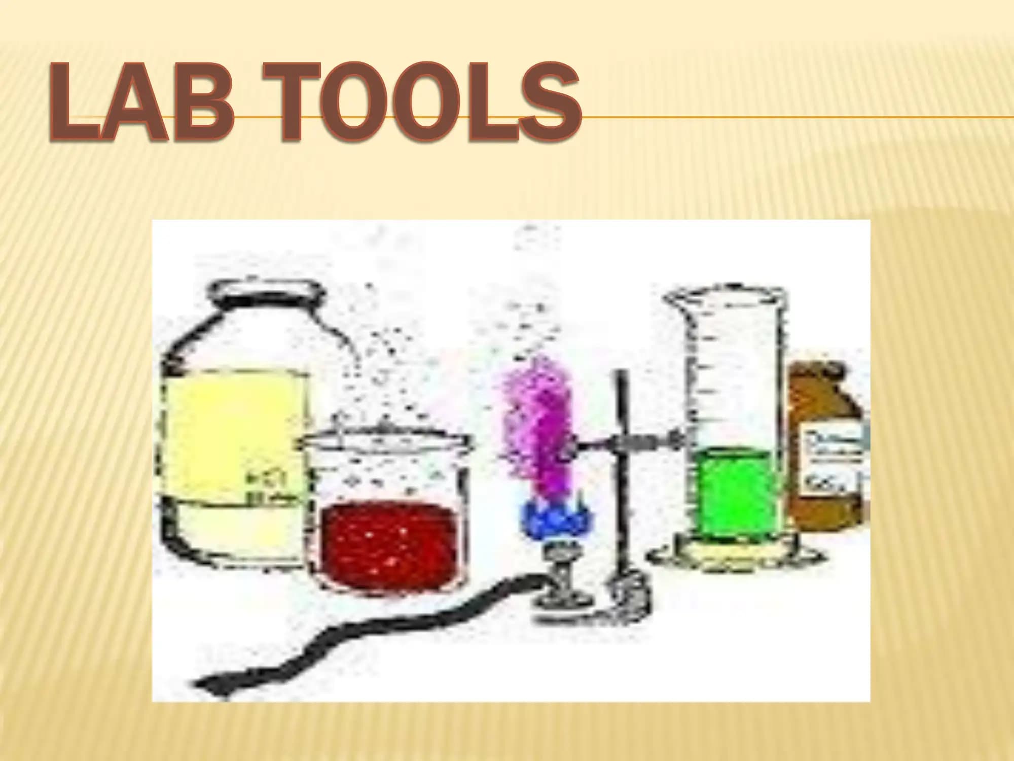 MICROSCOPE