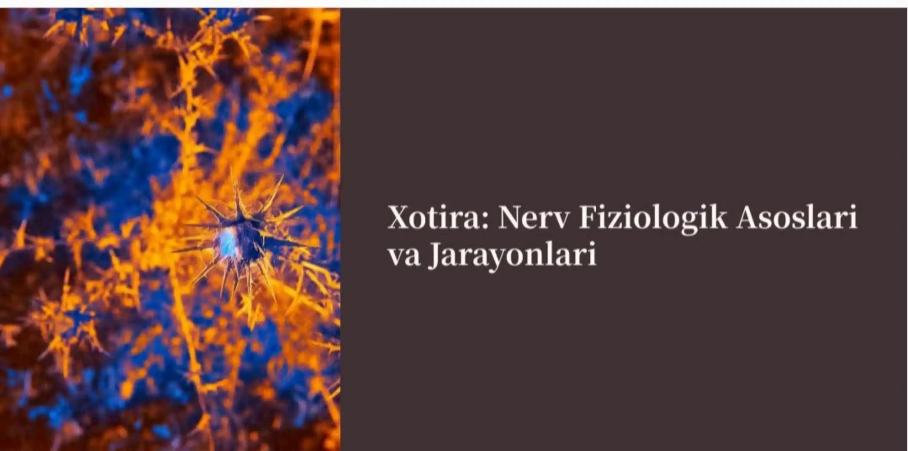 Xotira haqida slayd