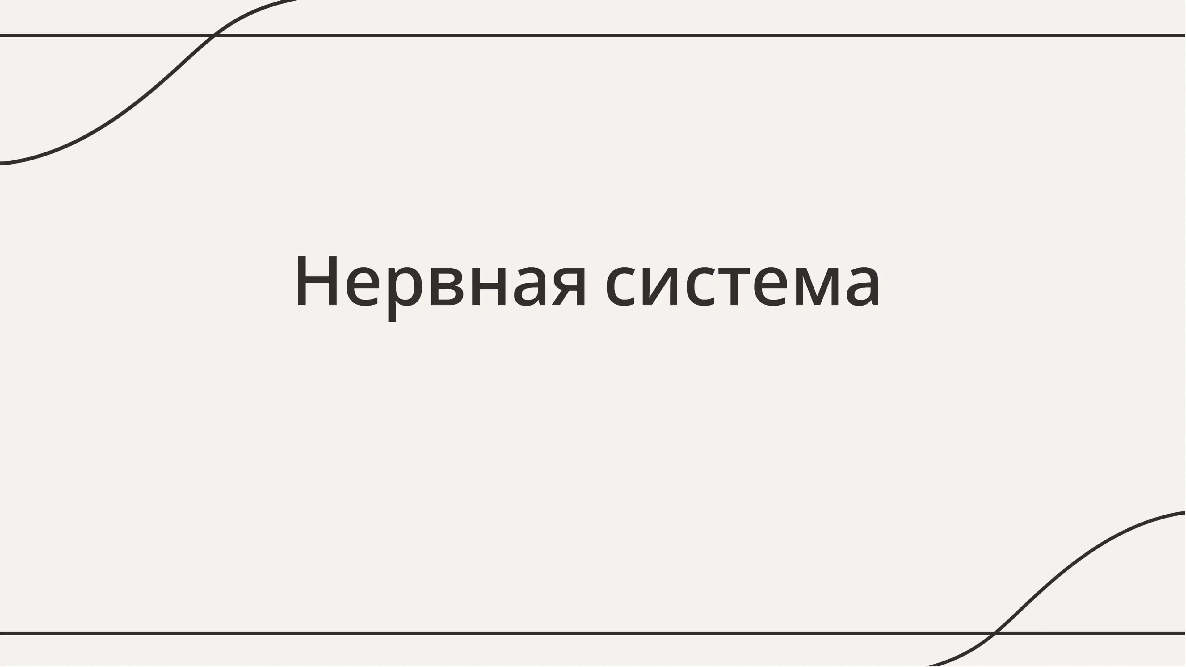 Нервная система