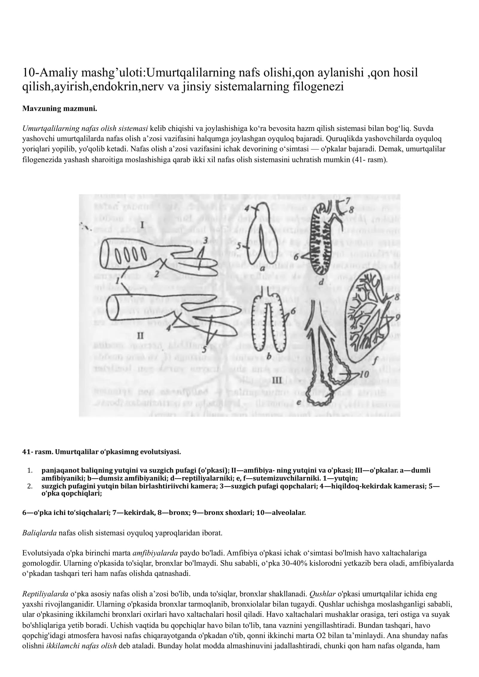 Aʼzolar sistemasi ontofilogenezi: teri, skelet , nerv, qon aylanish, endokrin , ayirish sistemasi.