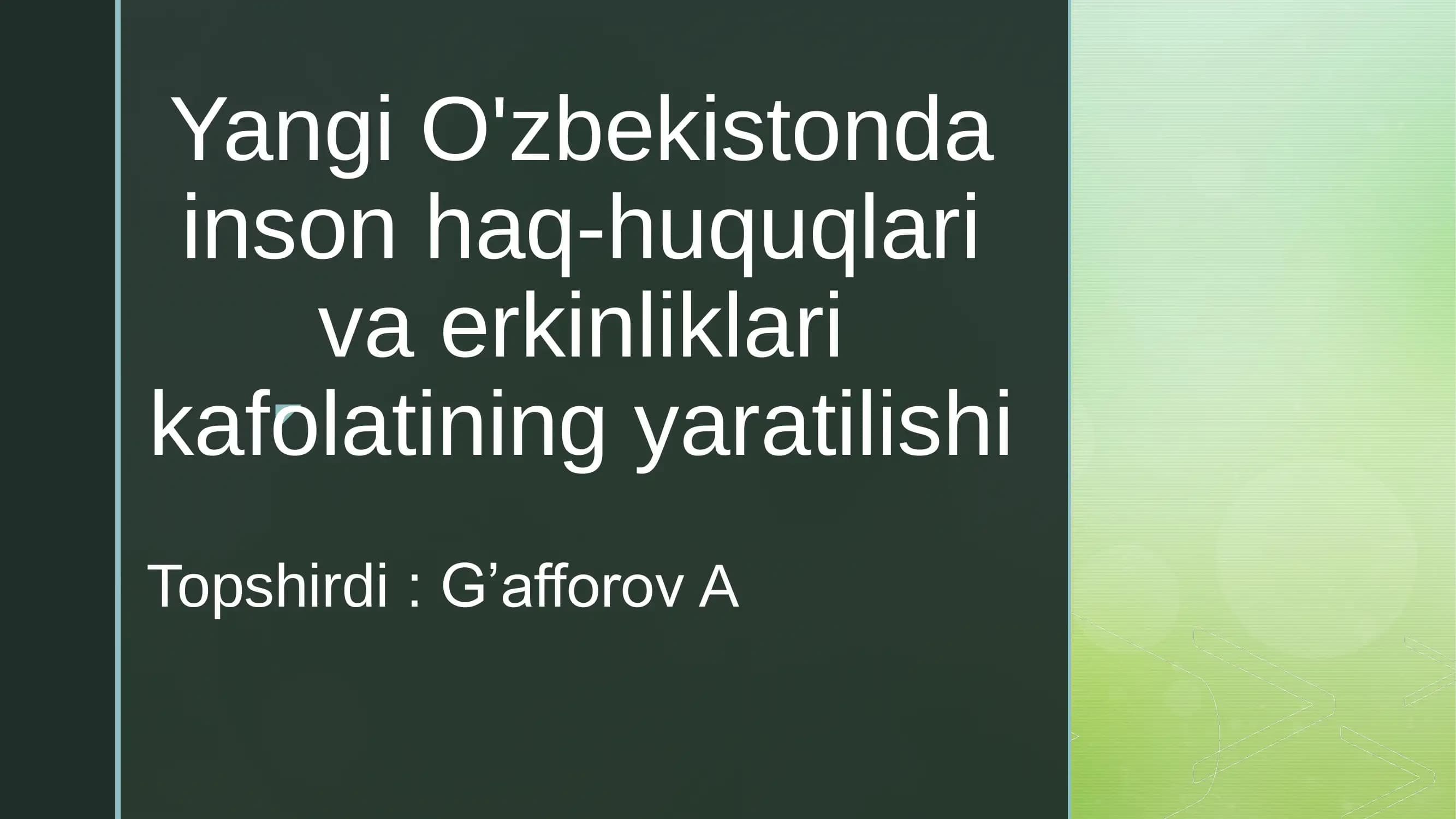 Yangi O'zbekistonda inson haq-huquqlari va erkinliklari kafolatining yaratilishi