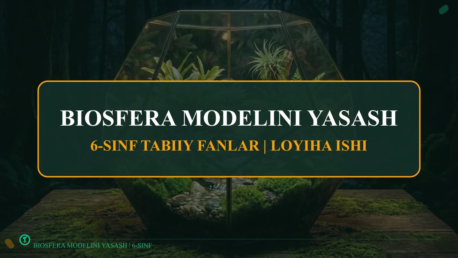 BIOSFERA MODELINI YASASH
