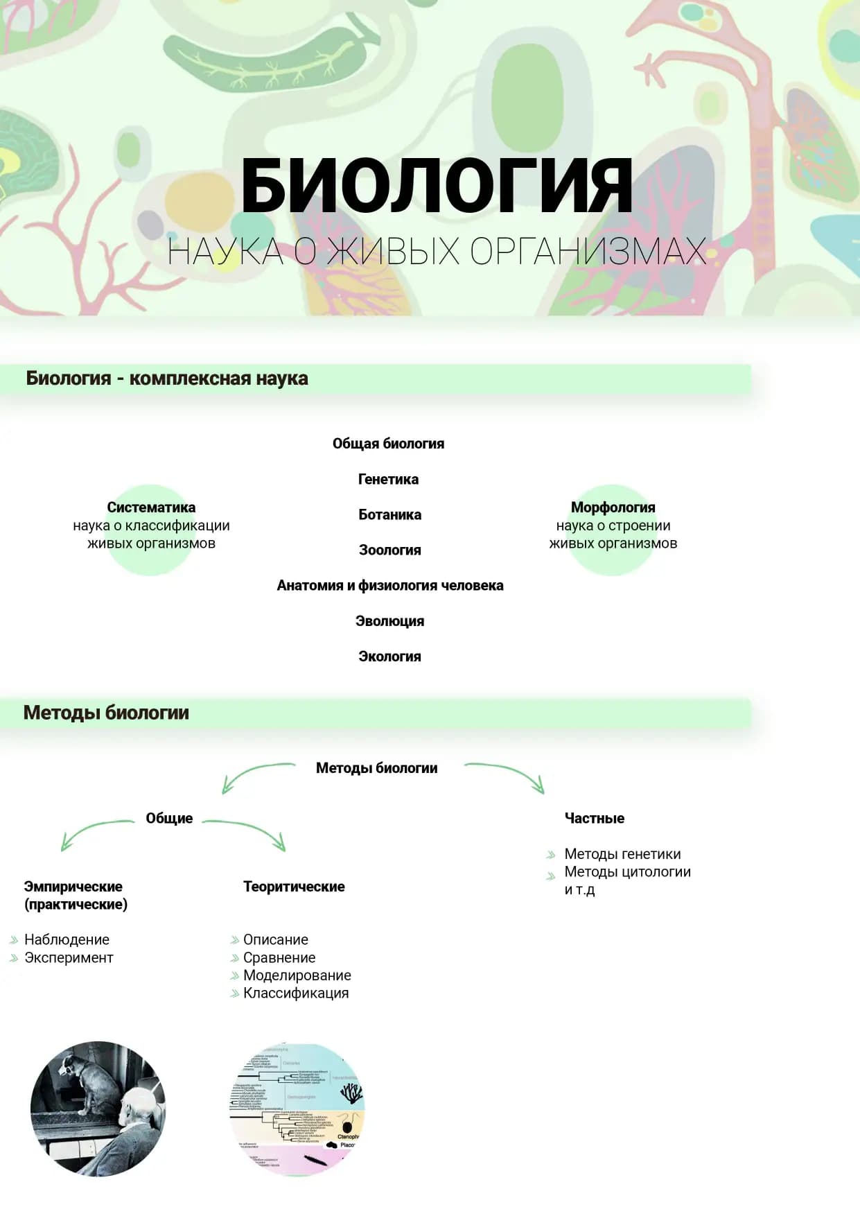Общая биология (Umumiy biologiya) fanini rus tilida o'rganuvchi va o'rgatuvchilar uchun qo'llanma