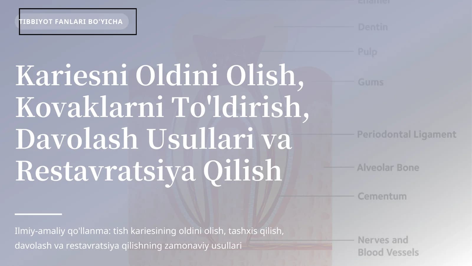 Kariesni Oldini Olish, Kovaklarni To'ldirish, Davolash Usullari va Restavratsiya Qilish
