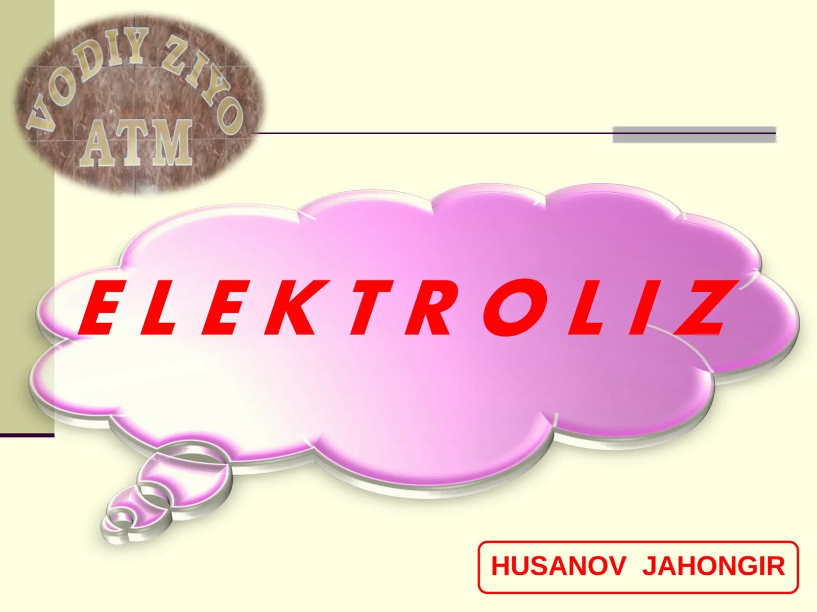 E L E K T R O L I Z