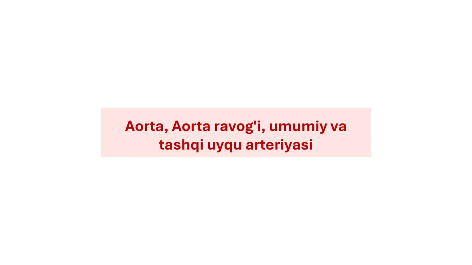 Aorta, Aorta ravogʻi anatomiyasi