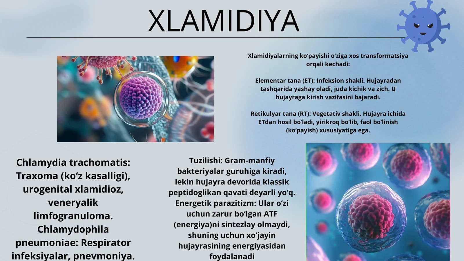 XLAMIDIYA