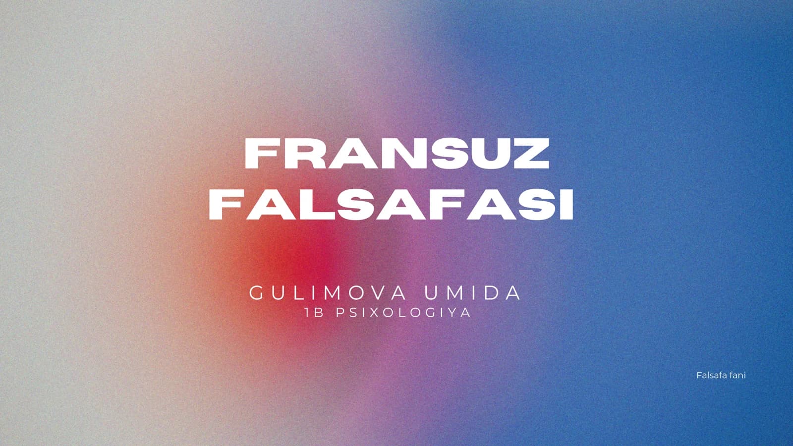 Fransuz falsafasi