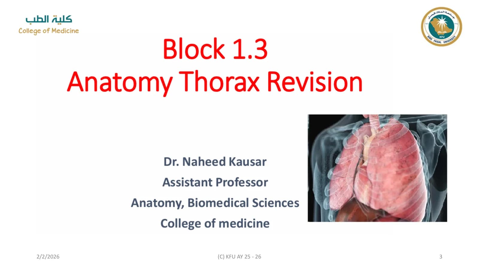 THORACIC MUSCLES