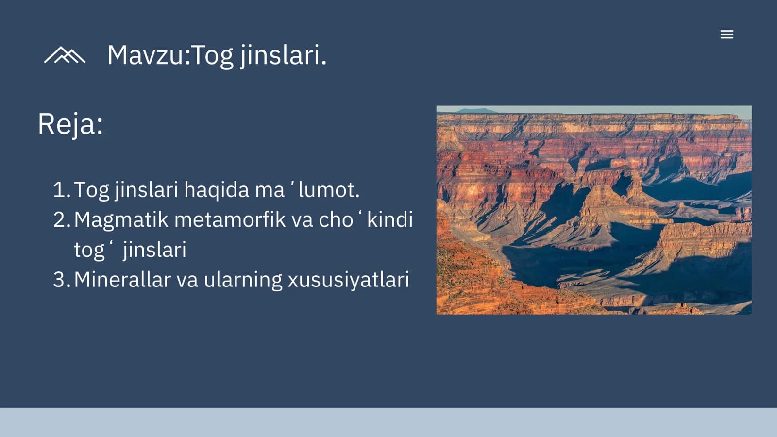Tog' jinslari