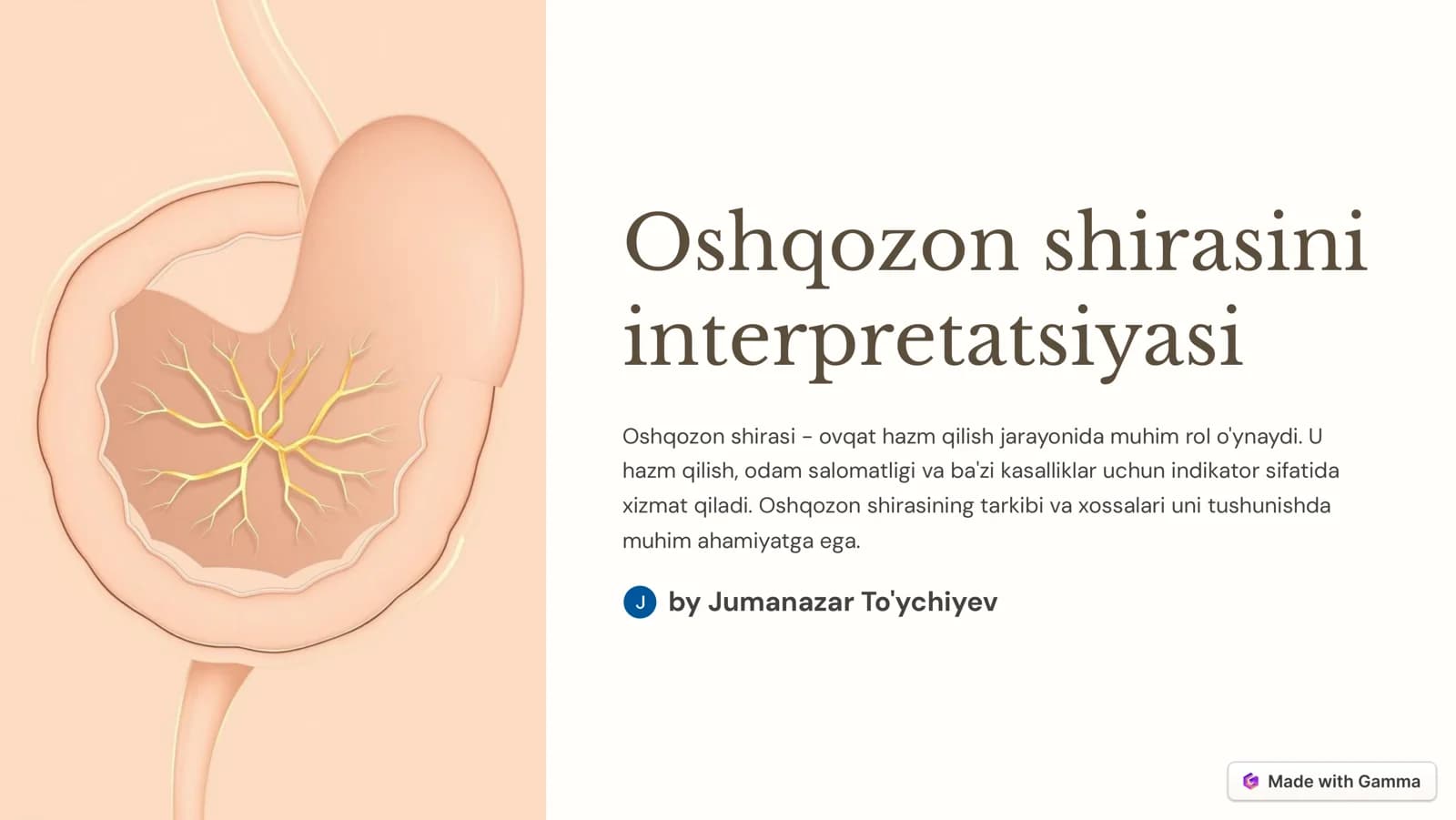 Oshqozon shirasini