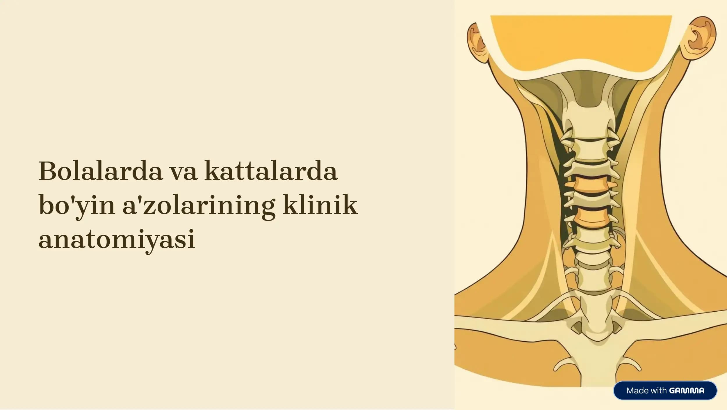 Bolalarda va kattalarda bo'yin a'zolarining klinik anatomiyasi