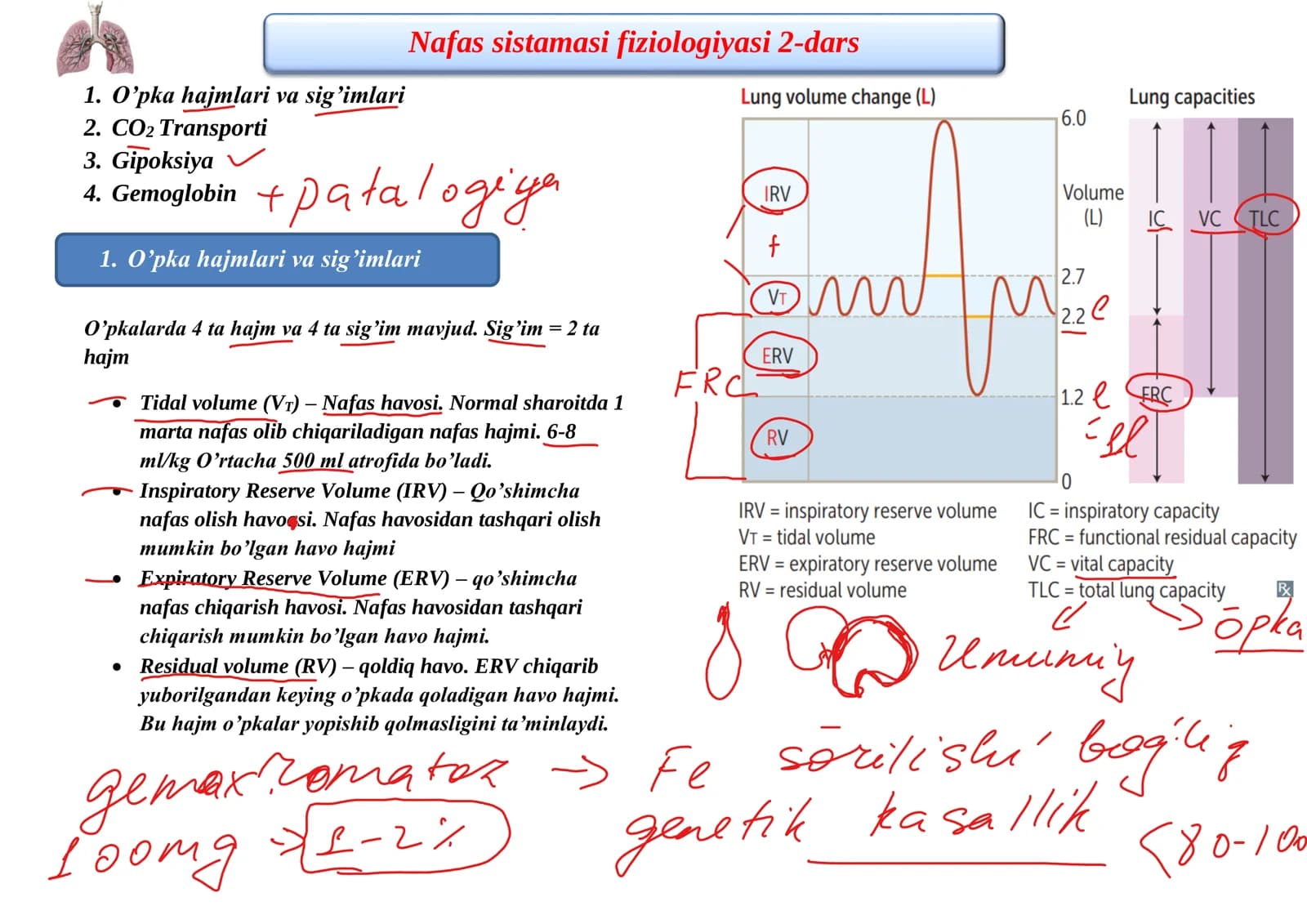 Nafas sistamasi fiziologiyasi 2-dars