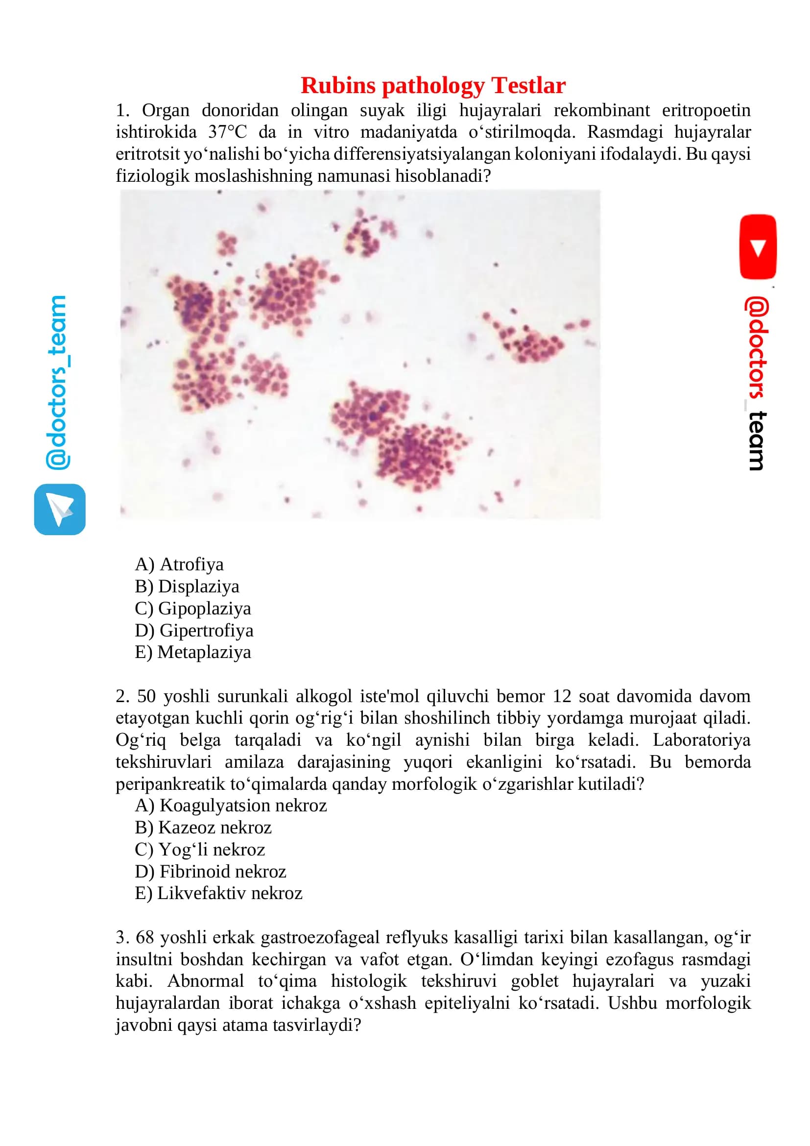 Rubins pathology Testlar
