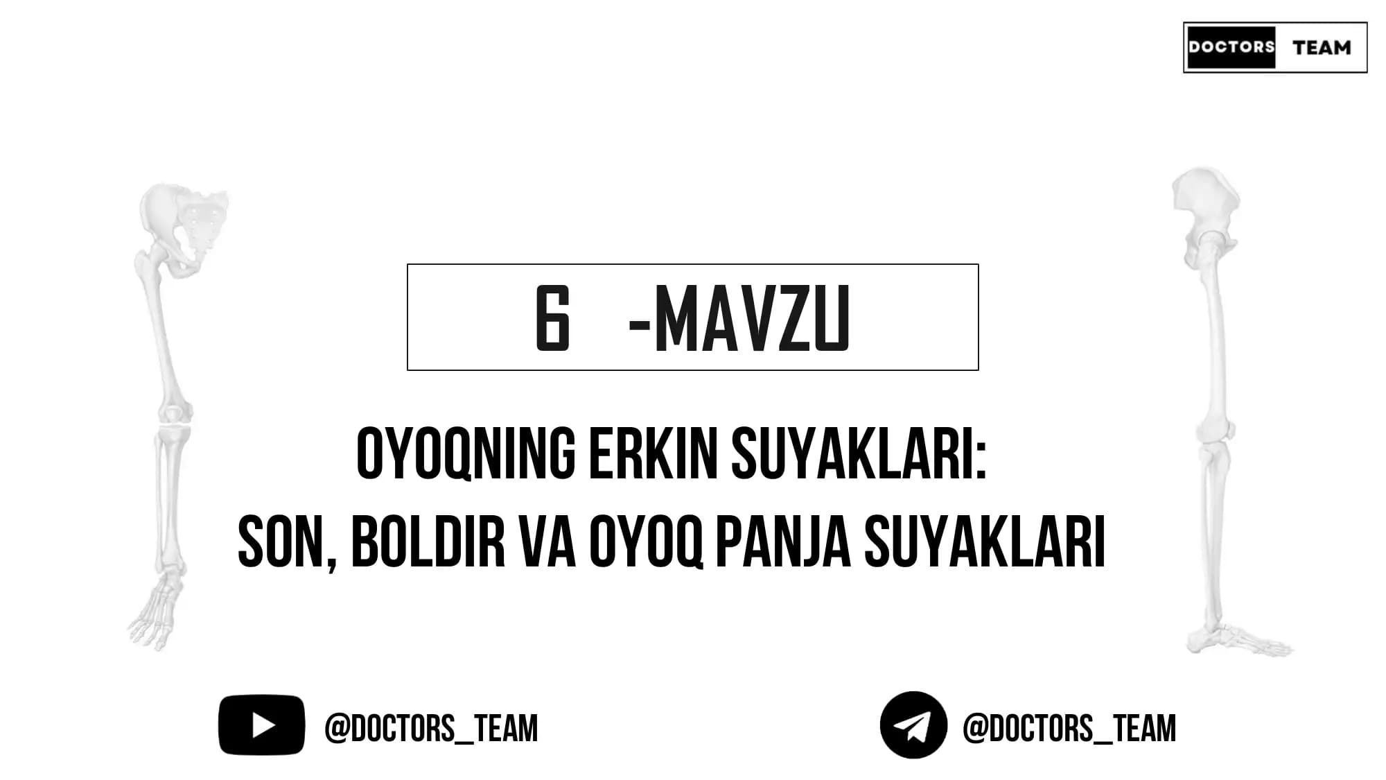 Oyoqning erkin suyaklari