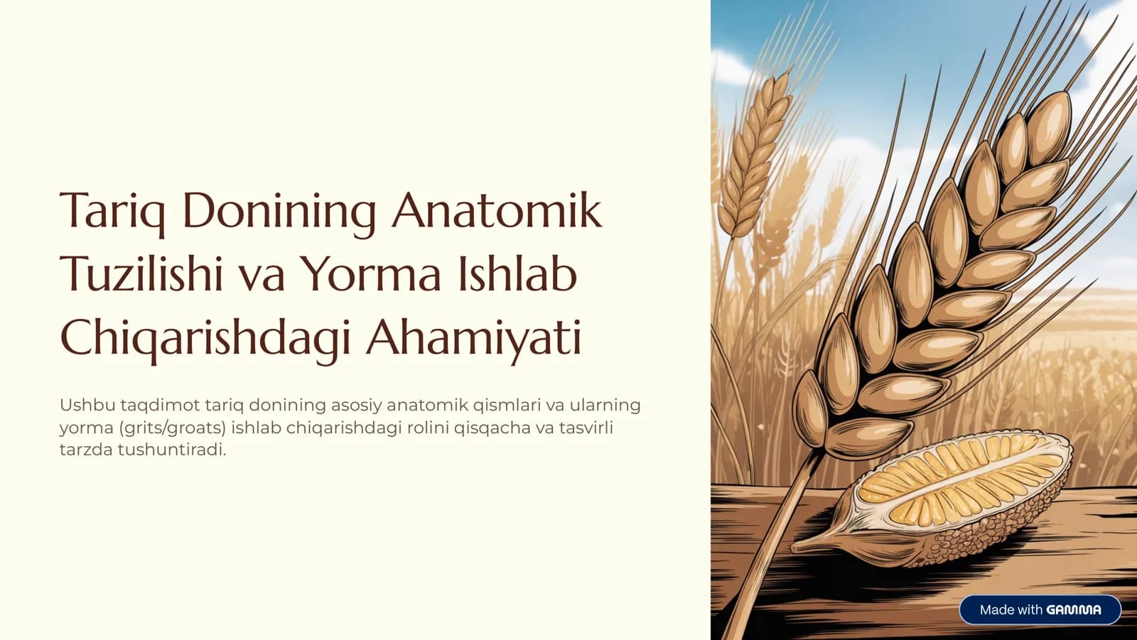 Tariq Donining Anatomik Tuzilishi va Yorma Ishlab Chiqarishdagi Ahamiyati