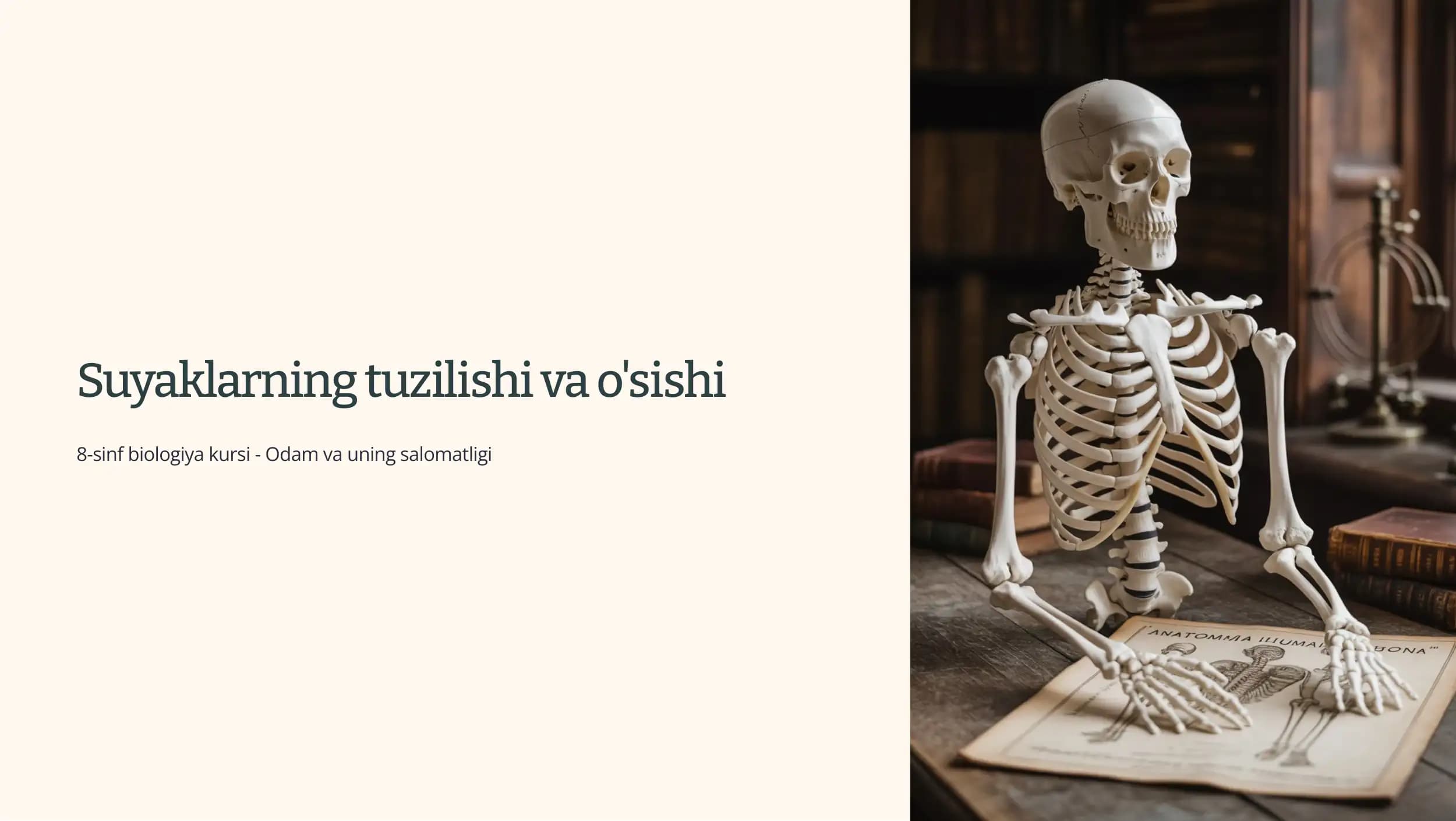 Suyaklarning tuzilishi va o'sishi