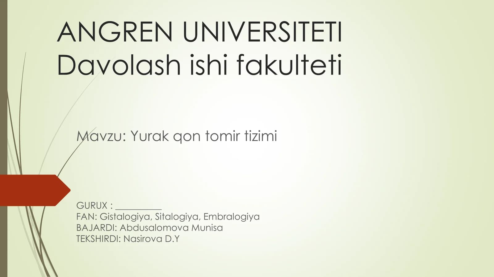 Yurak qon tomir tizimi