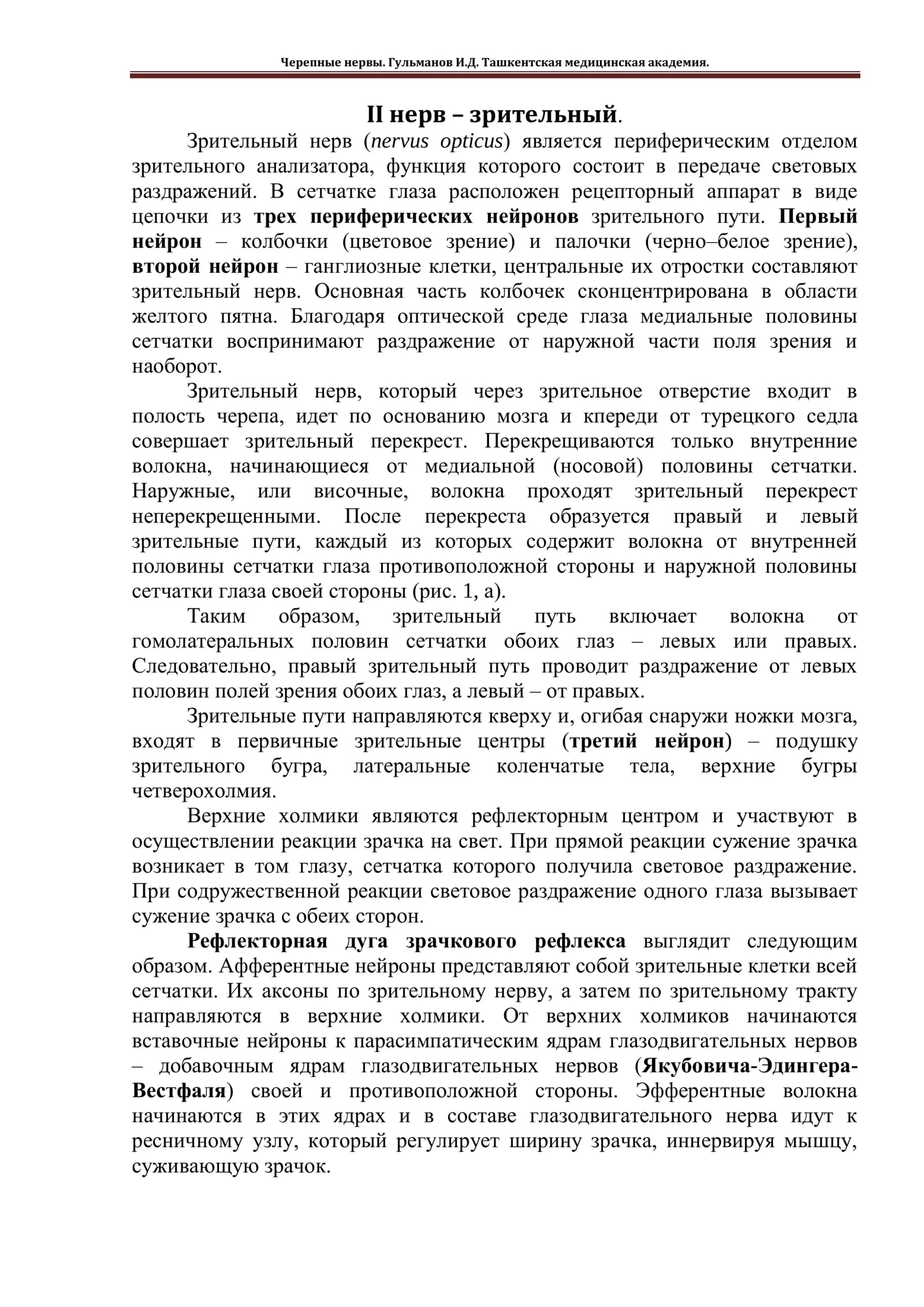 Zrительный нерв (nervus opticus)
